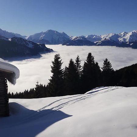 Haus Viktoria Apartment Mayrhofen Exterior photo